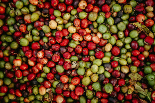 Why Specialty Coffee is the Best Way to Start Your Day!